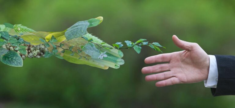 Read more about the article Energiamegtakarítás lengőajtóval – térelválasztás okosan